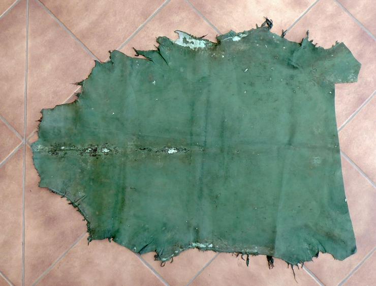 Bild 2: Glattleder grün 90 x 65 cm