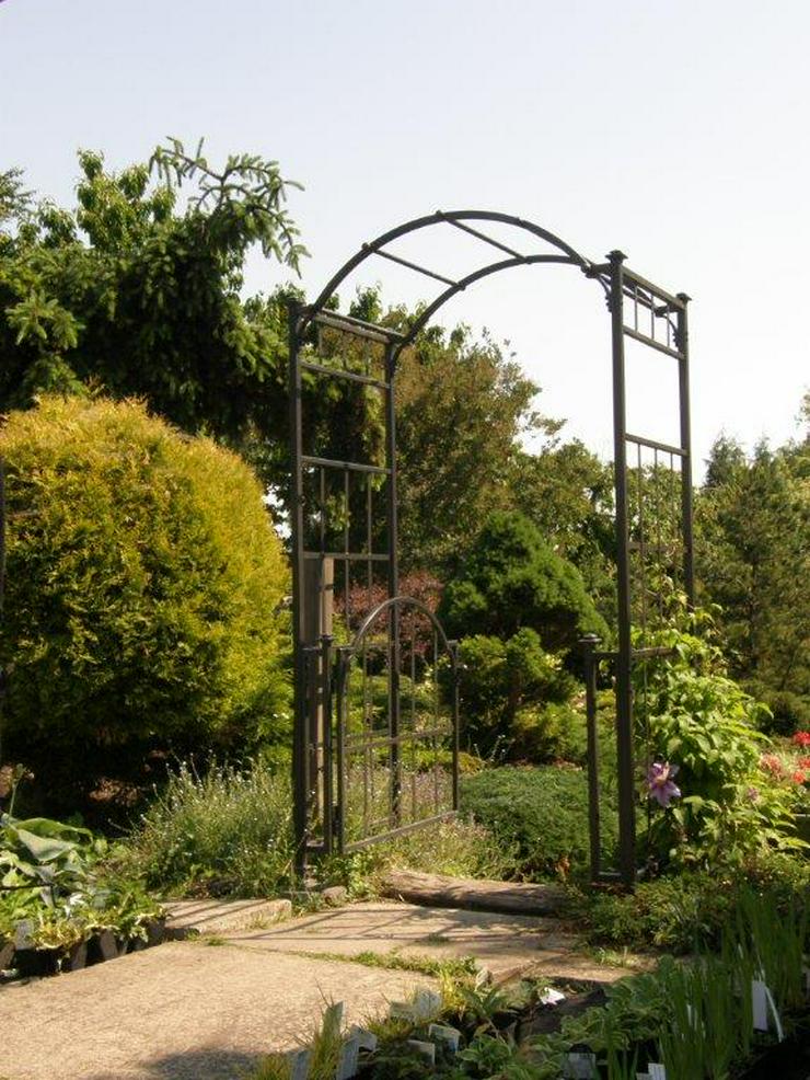 Bild 2: Rosenbogen "Classic - Garden" Breite 1,2-1,6m