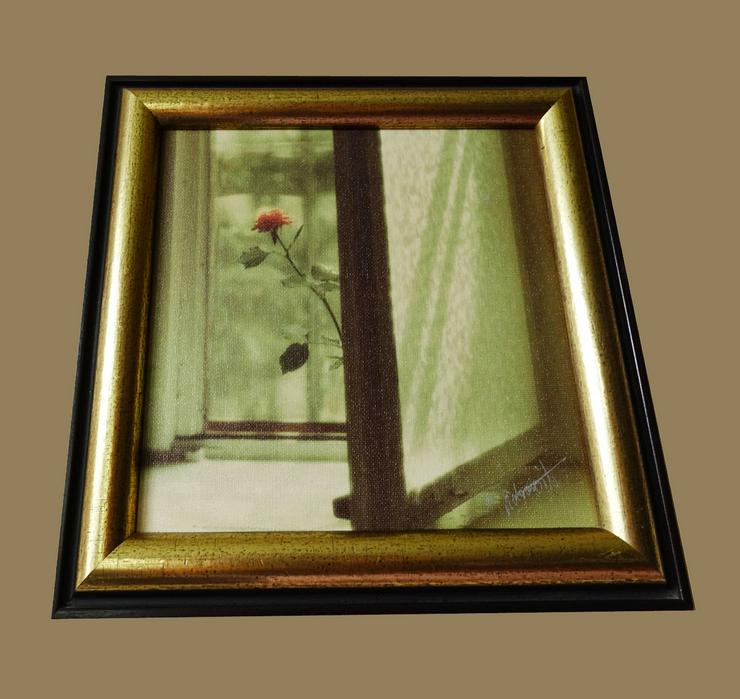 Bild 2: Anvo Rose im Fenster Im Rahmen