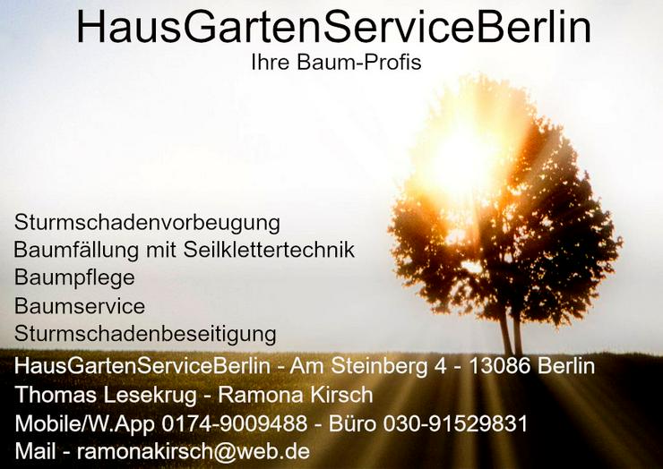 HausGartenServiceBerlin - Baumfällung , Baumservice , Baumpflege - Gartenarbeiten - Bild 18