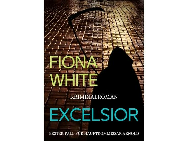 Kriminalroman aus Düsseldorf, Excelsior von Fiona White