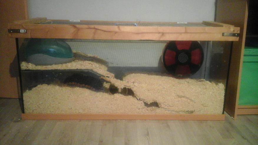 Nagarium, Käfig, Stall, Terrarium - Hamster - Bild 2