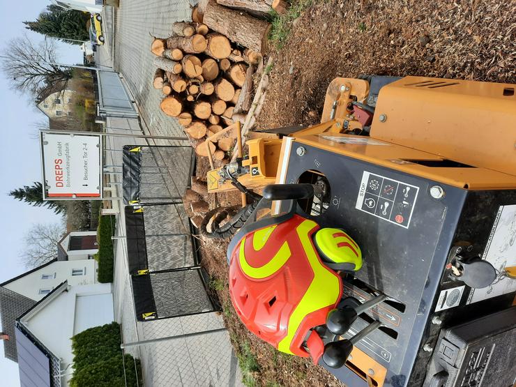 Wurzelstockabfräsen Mulcharbeiten Landschaftspflege - Sonstige Dienstleistungen - Bild 6