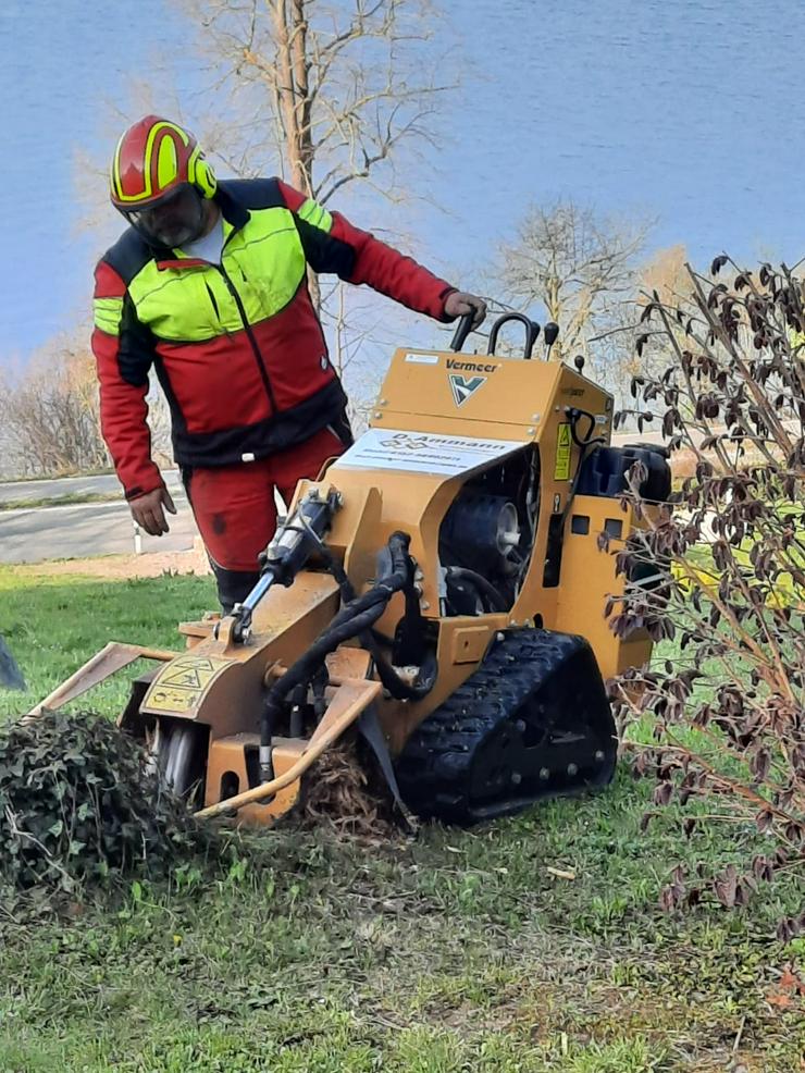 Wurzelstockabfräsen Mulcharbeiten Landschaftspflege - Sonstige Dienstleistungen - Bild 5