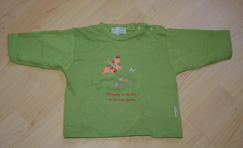 Baby Pullover Mädchen Sweatshirt Kinder Sweater Langarm Pulli Schmetterling Butterfly grün Gr. 74 NEU