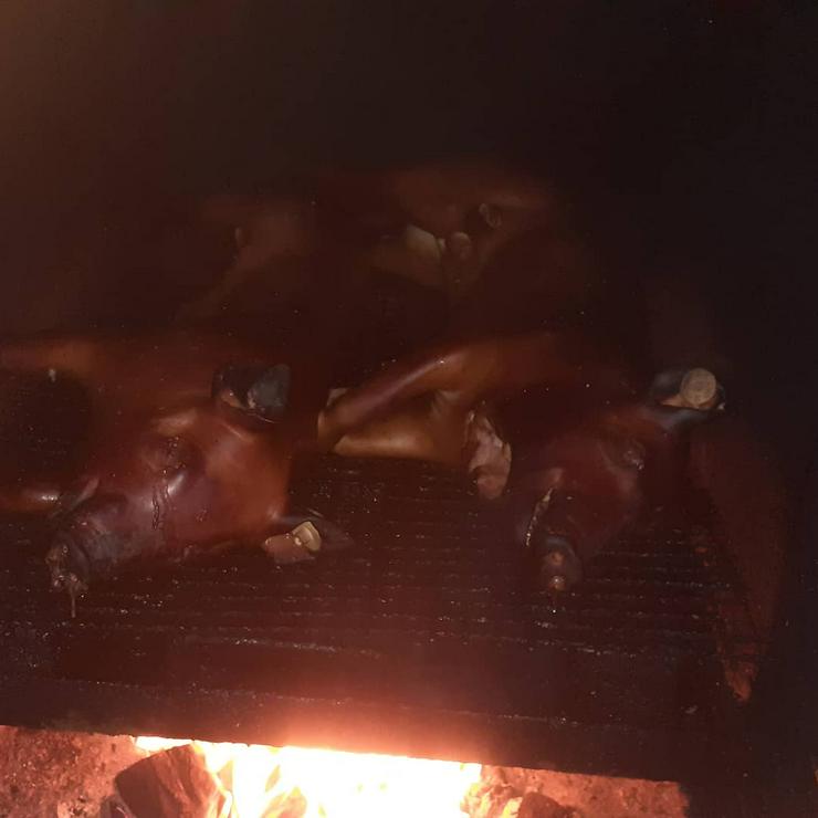 Bild 18: Geflügel und Schwein gebacken gekasslert oder gegrillt 