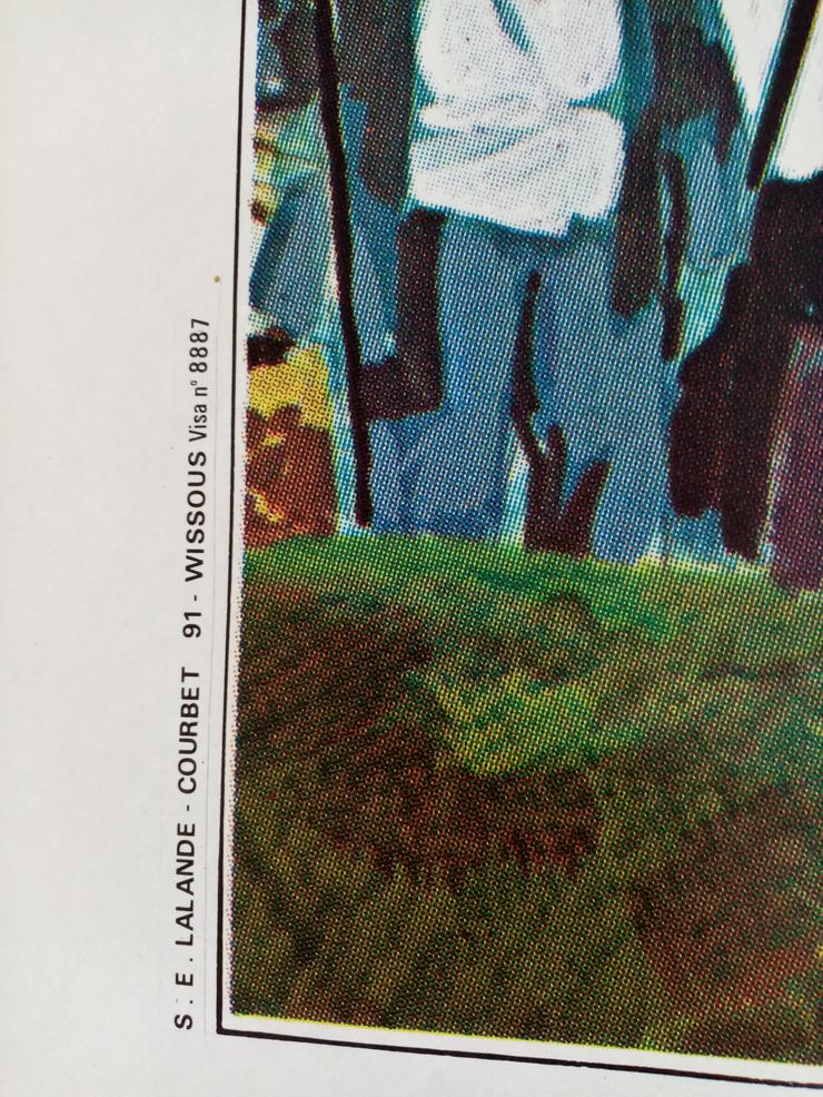 Bild 4: Schweizer Groß Plakat VA Cannes 1980  Kunst Landi
