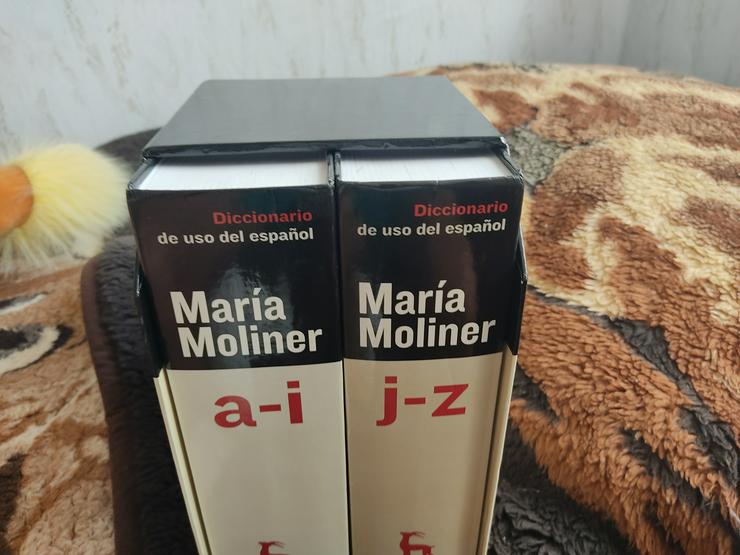 Bild 2: Marina Moliner, Diccionario a-i u. j-z