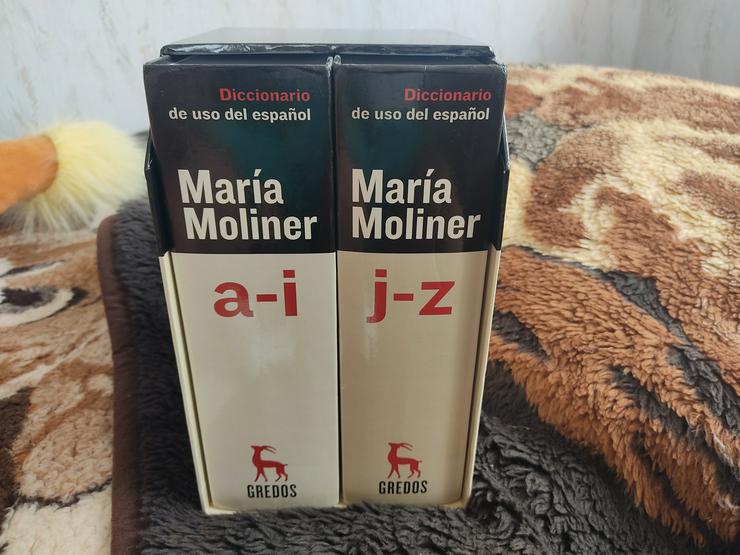 Marina Moliner, Diccionario a-i u. j-z