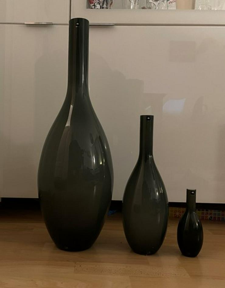 Leonardo Vasen: 3er Set - Vasen & Kunstpflanzen - Bild 1