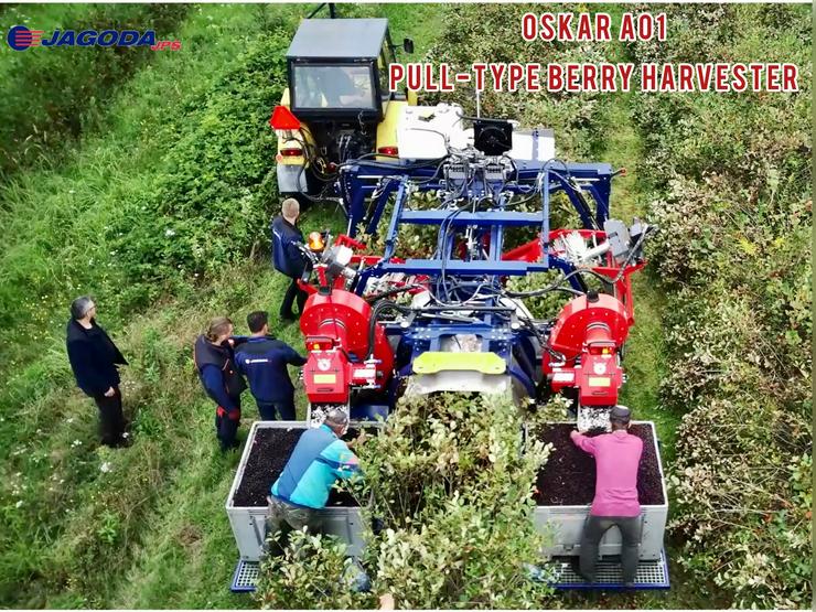 Beeren Erntemaschine OSKAR A01 - JAGODA JPS - Mähdrescher & Erntefahrzeuge - Bild 9