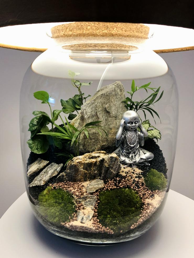 Bild 11: Lampe / Pflanzen im Glas 
