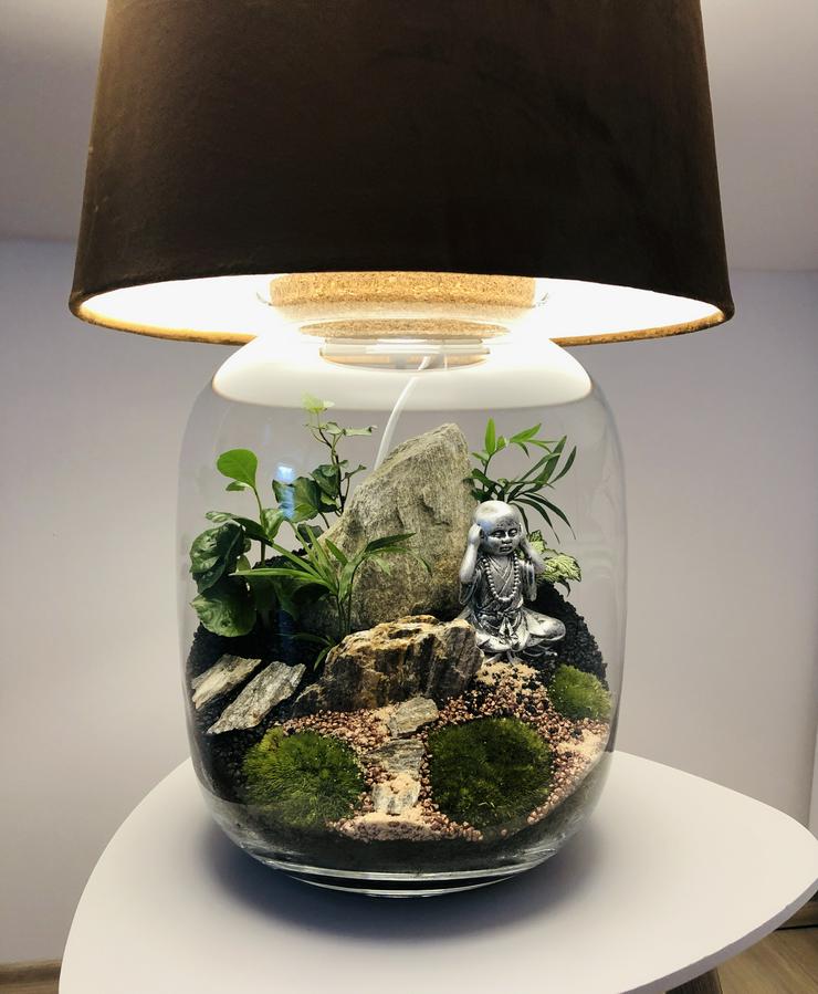 Bild 12: Lampe / Pflanzen im Glas 
