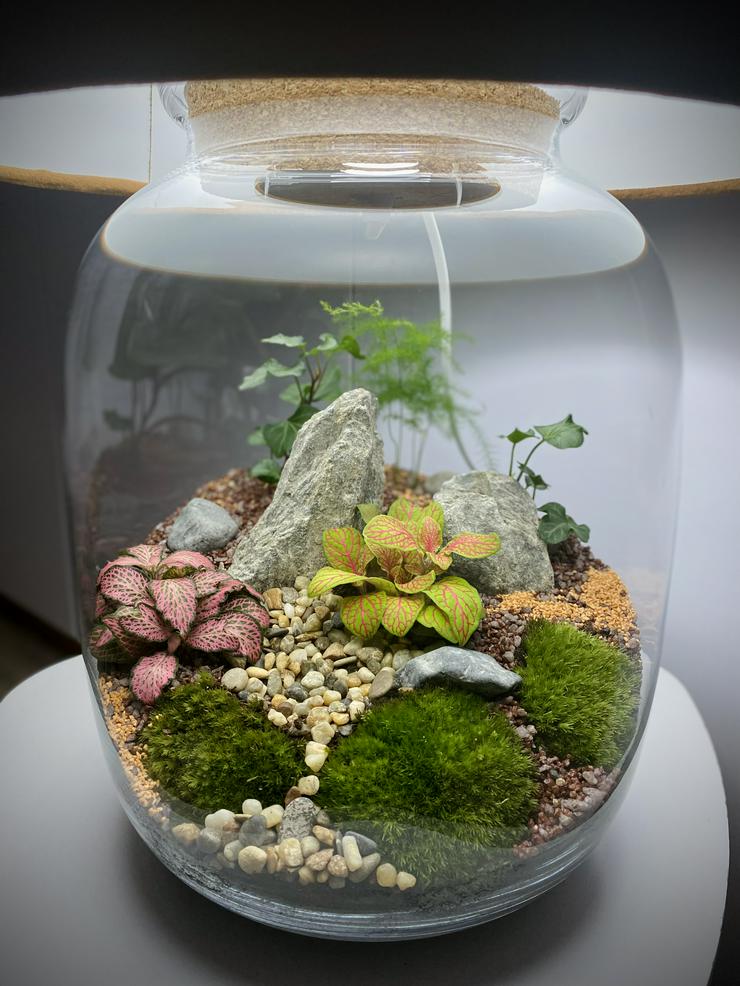 Bild 8: Lampe / Pflanzen im Glas 