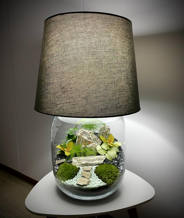 Bild 2: Lampe / Pflanzen im Glas 