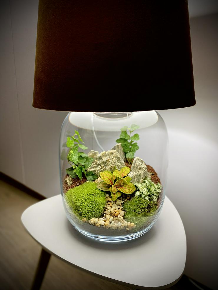 Bild 14: Lampe / Pflanzen im Glas 