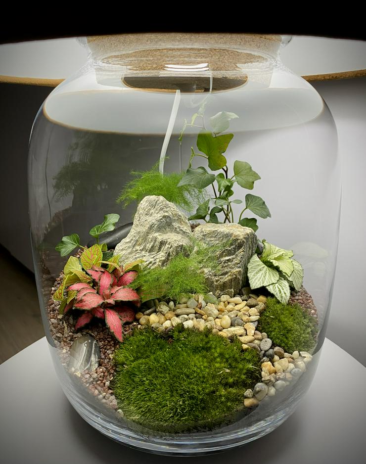 Bild 3: Lampe / Pflanzen im Glas 