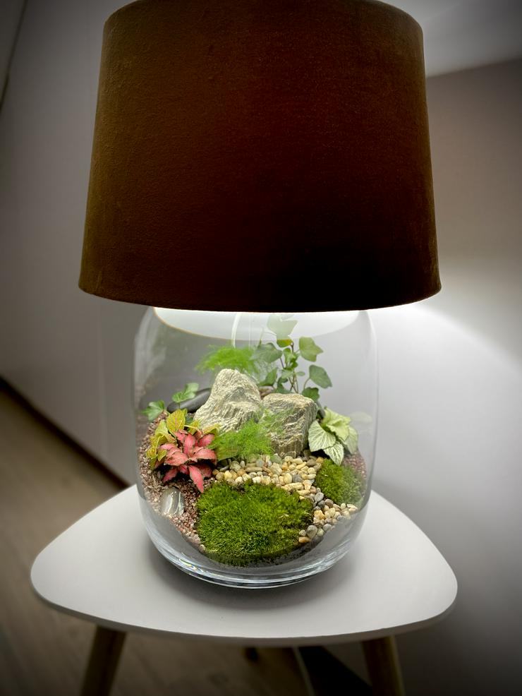 Bild 4: Lampe / Pflanzen im Glas 