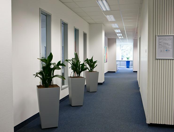 Renoviertes Büro - Möblierung auf Wunsch möglich - Büro & Gewerbeflächen mieten - Bild 1