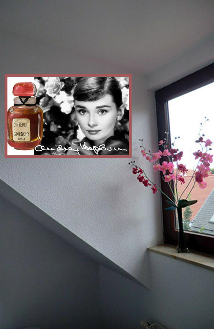 Bild 3:   Audrey Hepburn Givenchy HD Werbeplakat von 1960. Super Wanddekoration. Einmaliges Souvenir. XL 60x40 cm. 