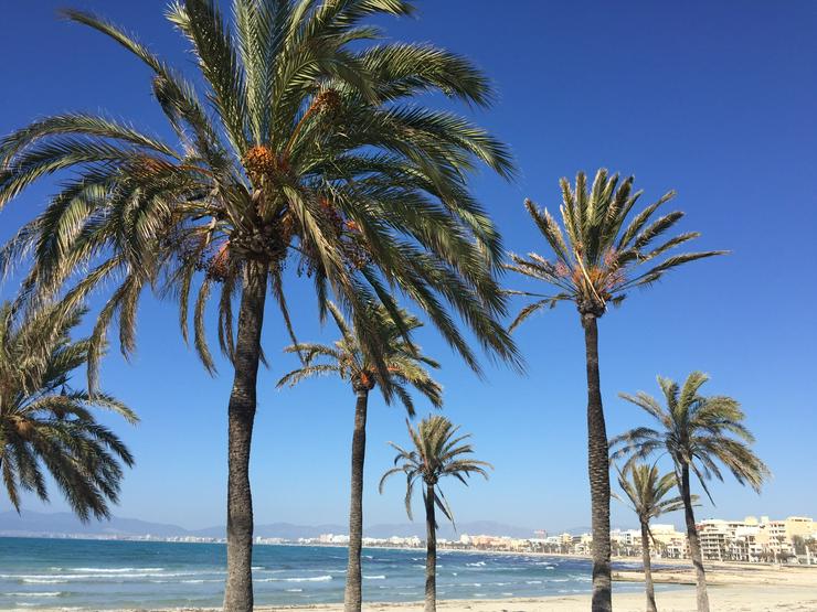 Bild 6: Mallorca Urlaub - 1 Woche für 2 Pers. ab 408 €* inkl. Flug u. Hotel