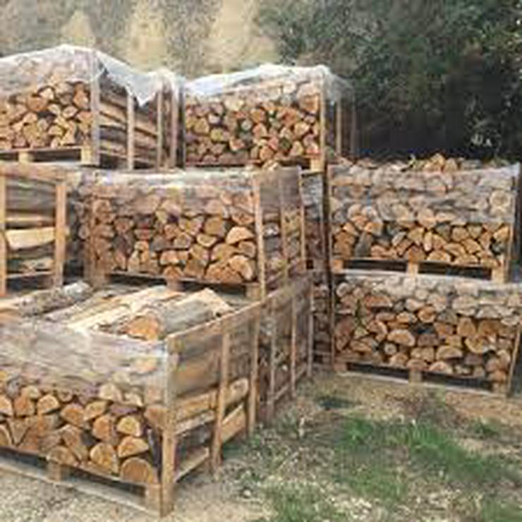 Brennholz und Paletten gelagert