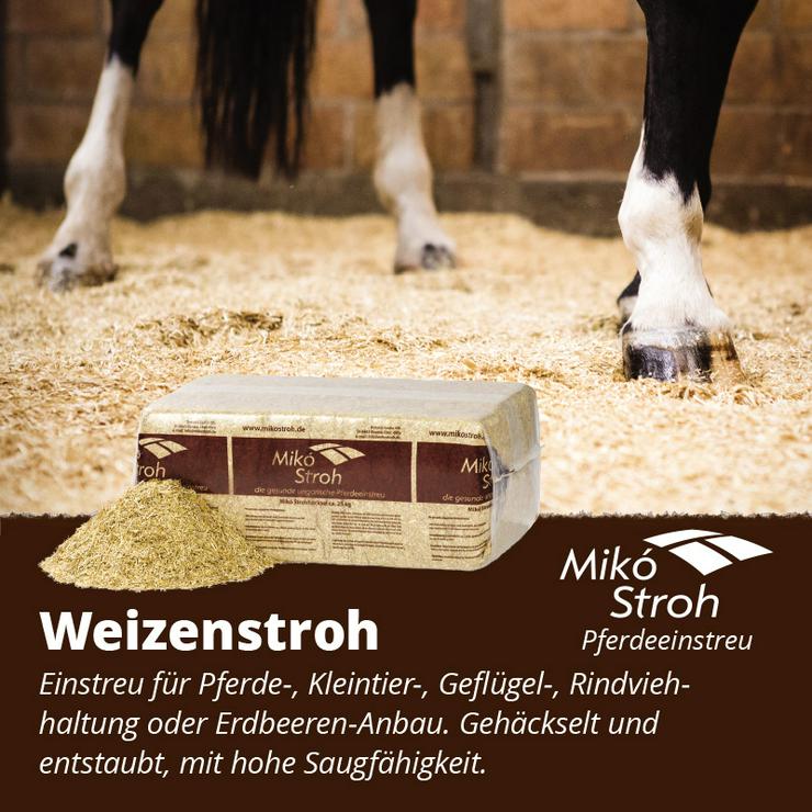 Pferdeeinstreu aus Weizenstroh - Matten & Einstreu - Bild 1