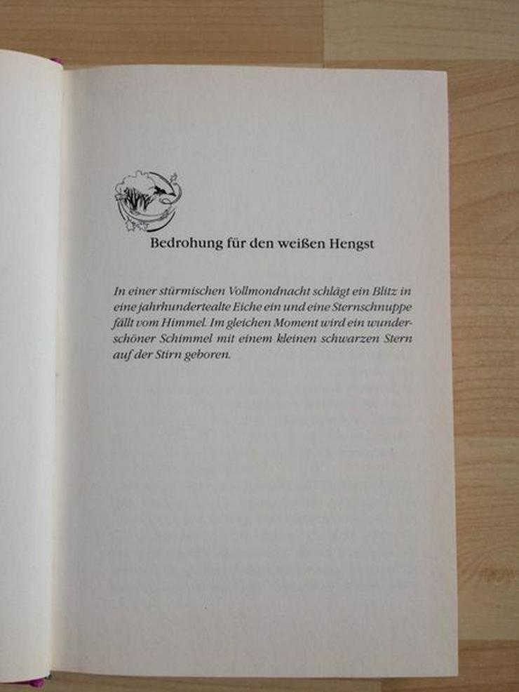 Bild 3: Pferde Buch Sternentänzer (6), UNGELESEN