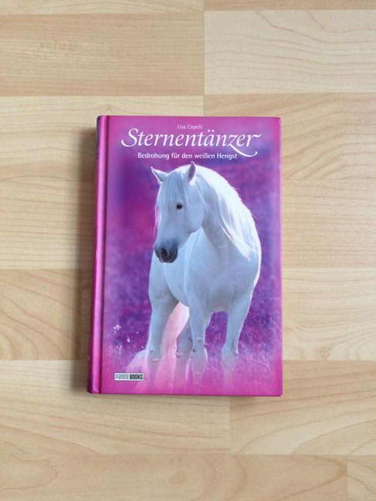 Pferde Buch Sternentänzer (6), UNGELESEN