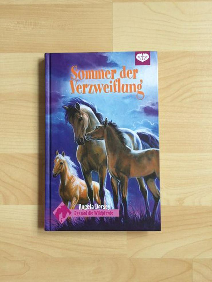 Pferde Buch Sommer der Verzweiflung UNGELESEN