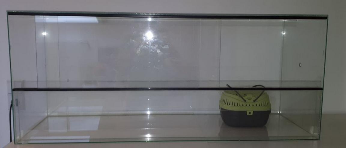 Nagarium aus Glas mit zwei Schiebetüren