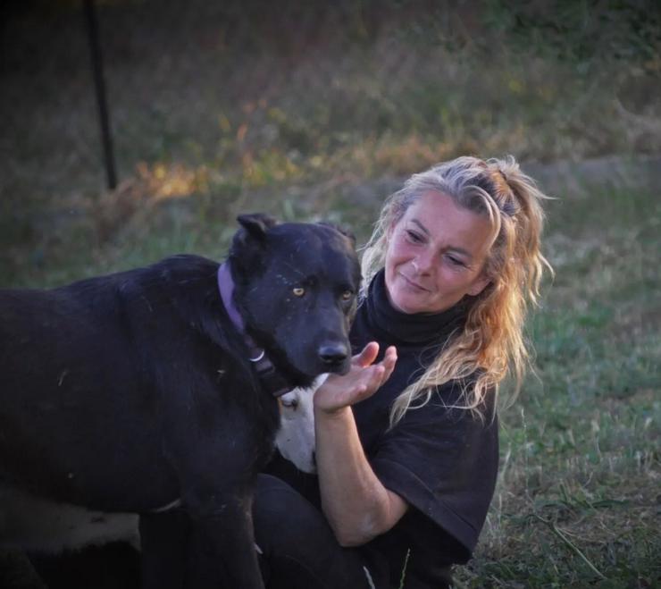Blacky schwarze Schönheit