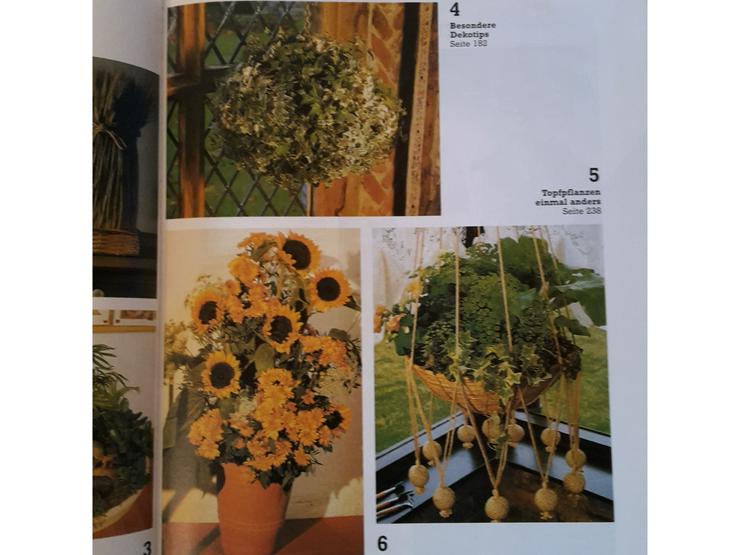 Bild 3: Blumen und Pflanzen arranieren  Buch mit 352 Seiten incl. Porto u.Verpackung