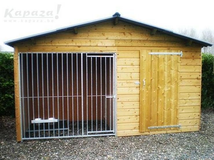 Bild 1: Hundehütte Basco mit Pavillon.