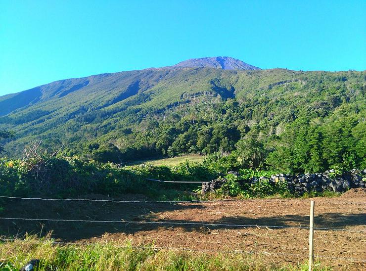 Bild 10: Azoren-Land außerhalb des Grid-Grundstücks