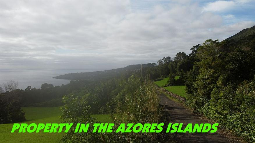 Bild 4: Azoren-Land außerhalb des Grid-Grundstücks