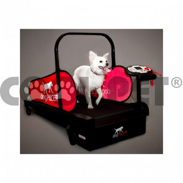 Laufbänder für kleine Hunde MINIPACER, treadmill, Laufband - Transport - Bild 1