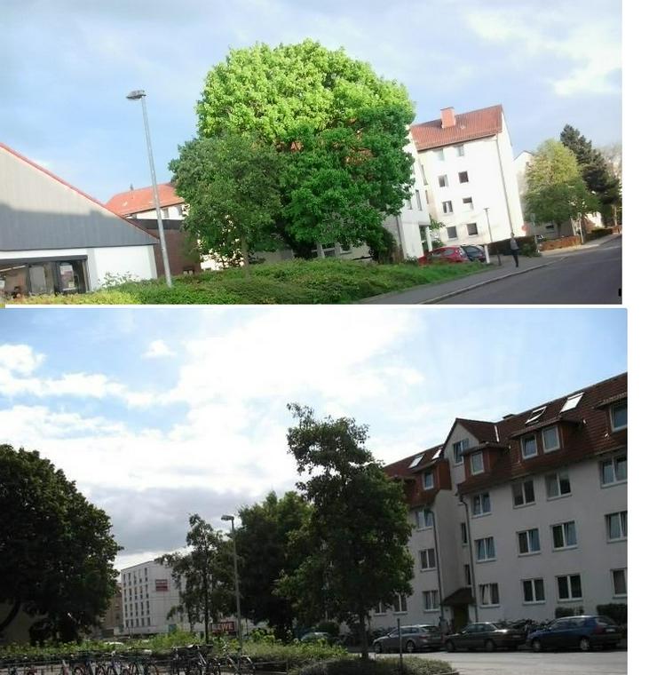 Bild 2: Göttingen Appartement am Neuen Sartorius Campus