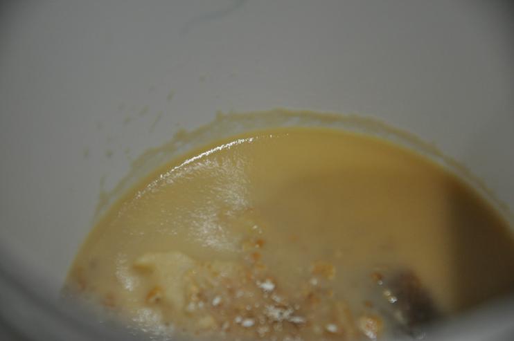 Mikrowürmchen (essigälchen) - Futter - Bild 1