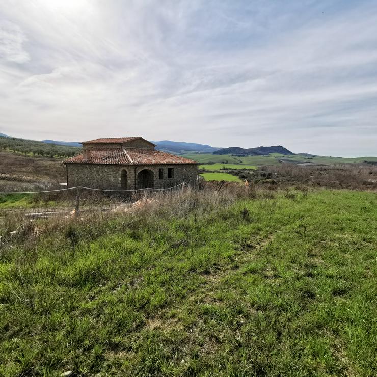 Landhaus aus Stein mit 1 ha Land in Toskana - Haus kaufen - Bild 4