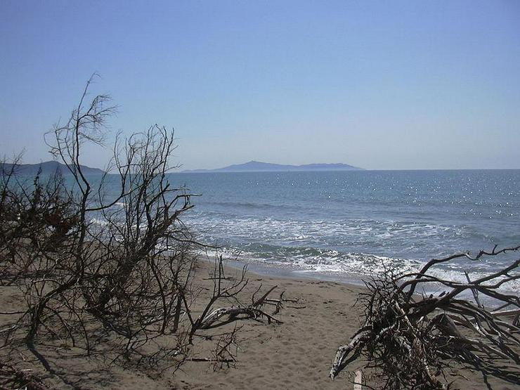 Bild 12: Ferienwohnungen mit Pool Maremma TOSKANA