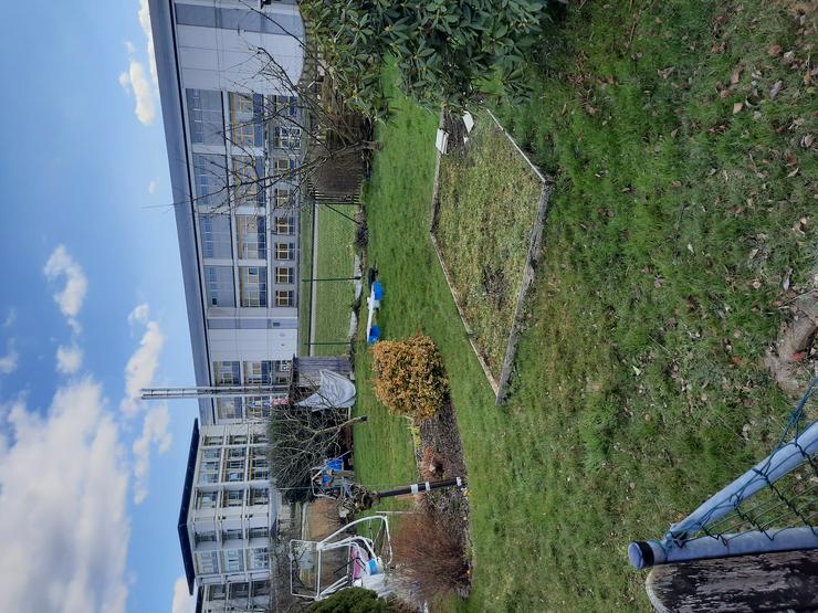 Bild 1: Garten in Hartmannsdorf Am naturbad abzugeben