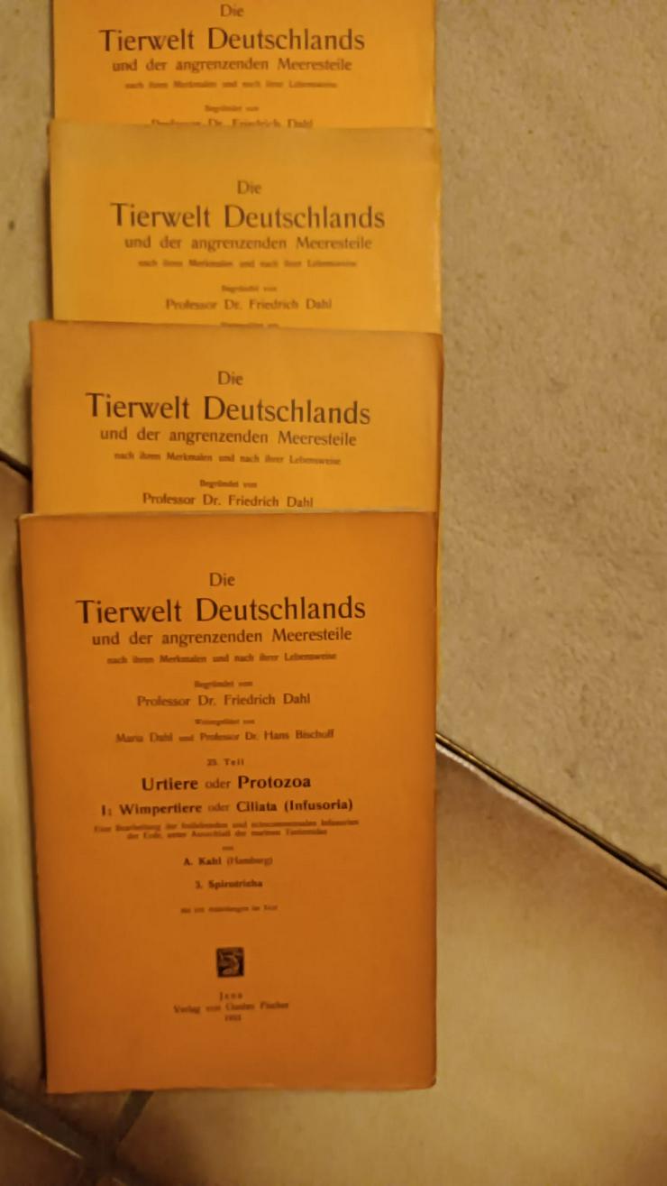 Dr. Friedrich Dahl Die Tierwelt Deutschlands 25. Teil - Weitere - Bild 1