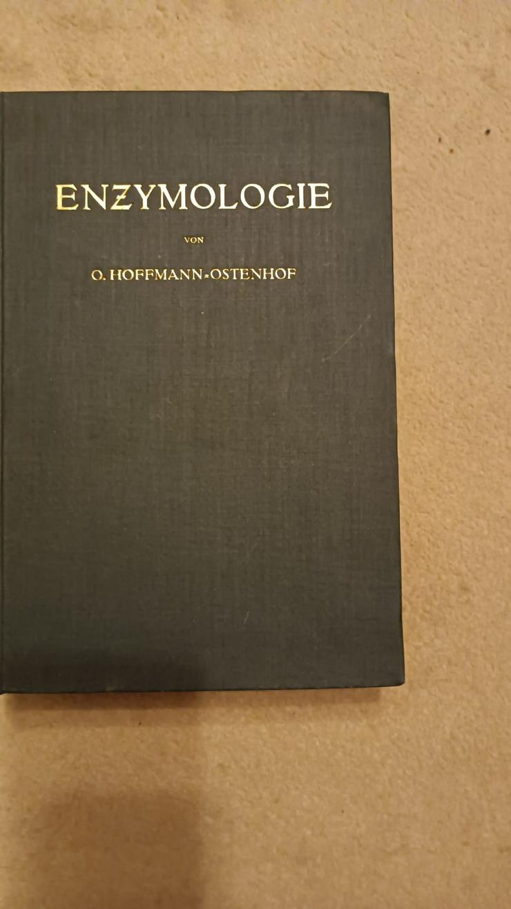Hoffmann-Ostenhof  Enzymologie v. 1954
