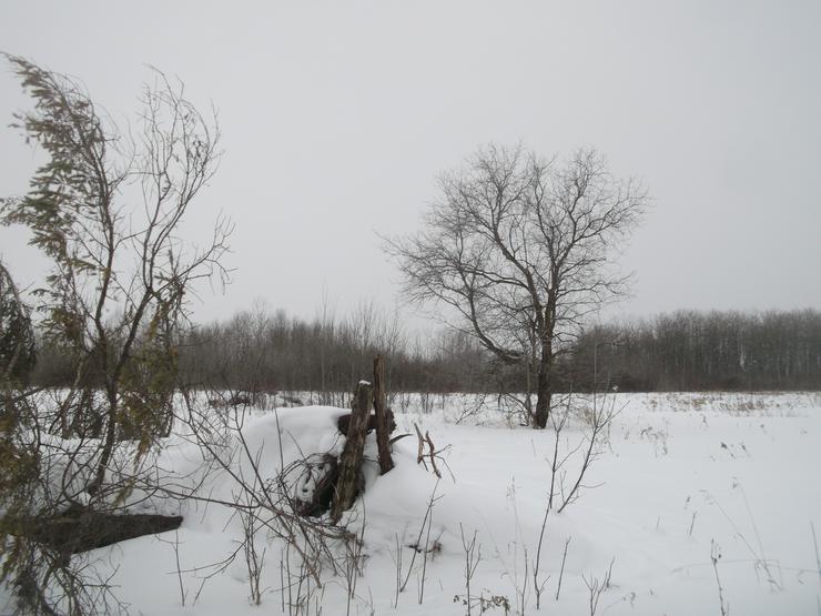 Bild 7: Farmland 64.7497 Hectare - 160 acre in Sundown Manitoba ,Canada