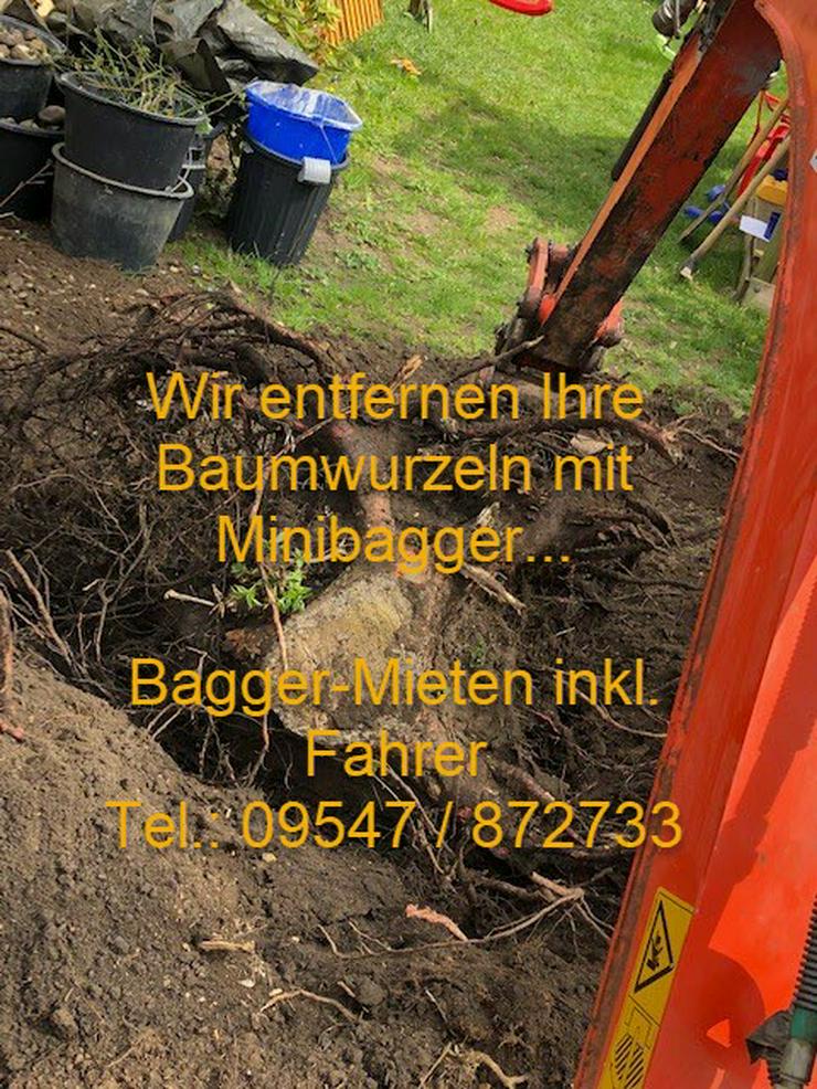 Bild 2: Minibagger Mieten in Bamberg und der Umgebung nur inkl. Fahrer für zb. Baggerarbeiten in Bamberg
