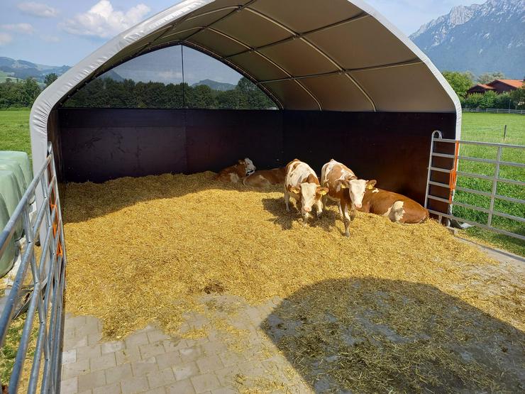 Bild 1: Offenstall Stallzelt Weidezelt Lagerzelt Landwirtschaft Pferde Stabil Sturmsicher 