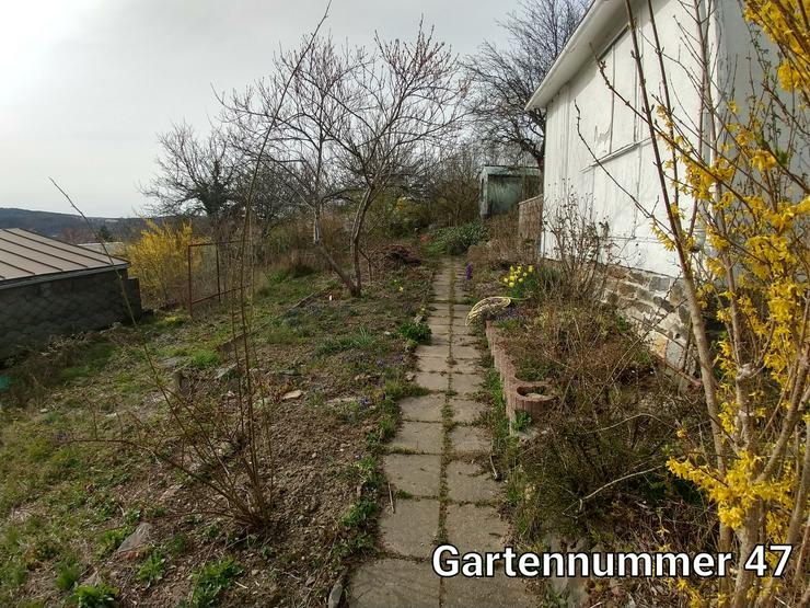 9 freie Gärten mit Blick über Aue - Schrebergarten & Wochenendhäuser - Bild 3