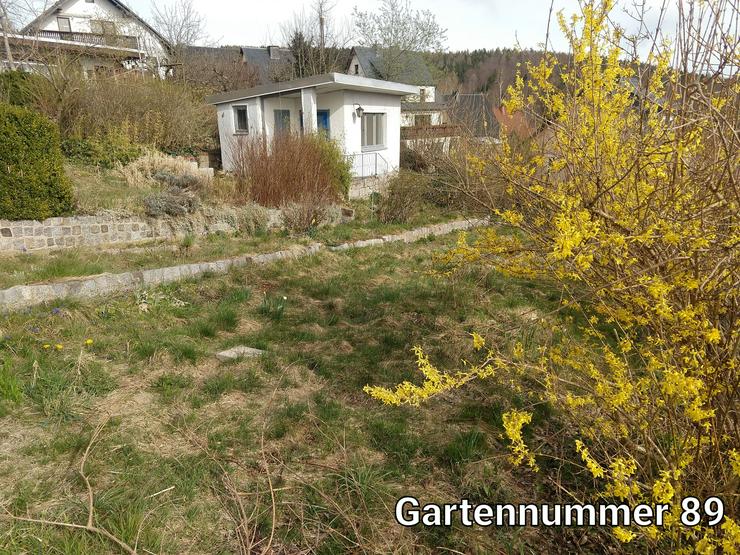 9 freie Gärten mit Blick über Aue - Schrebergarten & Wochenendhäuser - Bild 7