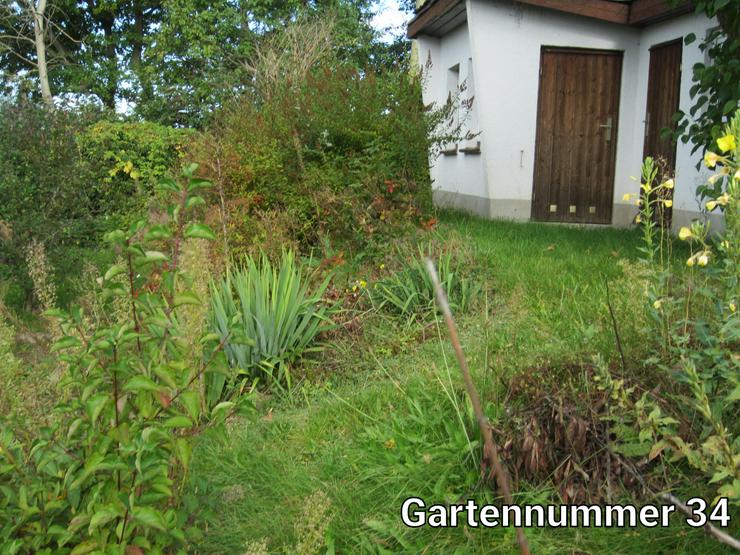 9 freie Gärten mit Blick über Aue - Schrebergarten & Wochenendhäuser - Bild 2